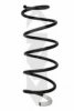 SPIDAN 86835 Coil Spring